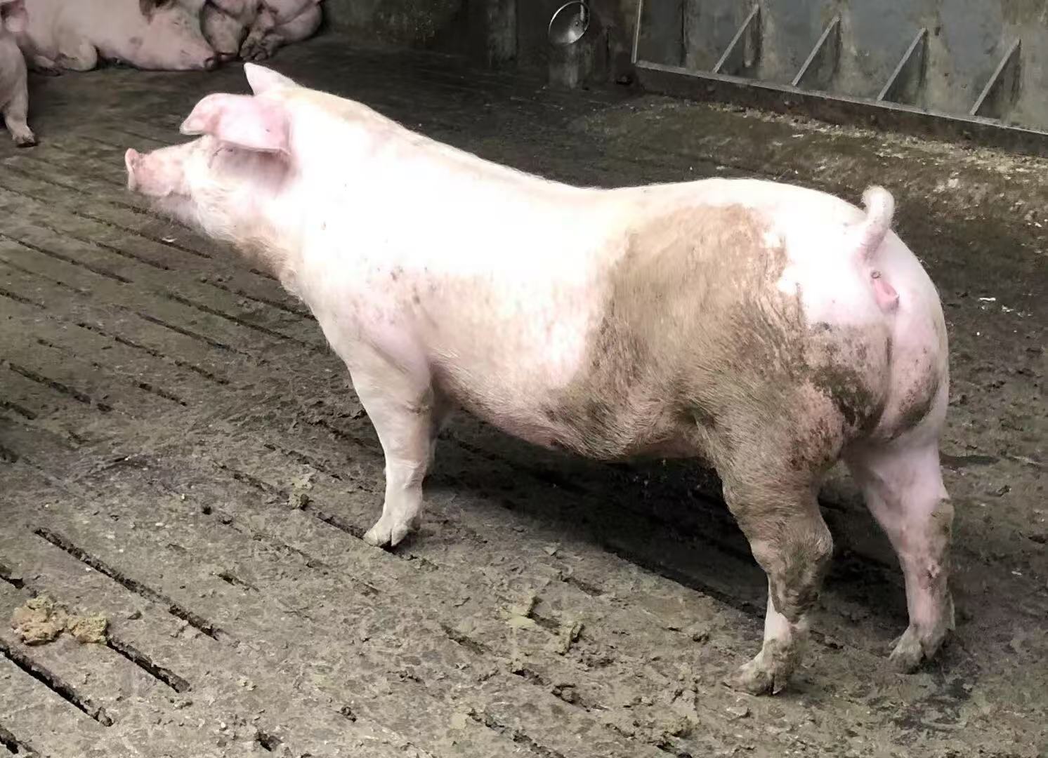 微信图片_20250307111108