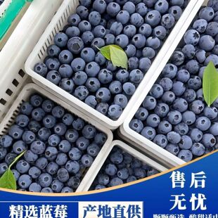 �����{ݮ���r���һ����a��ֱ�l���Ì����oʳ���]��