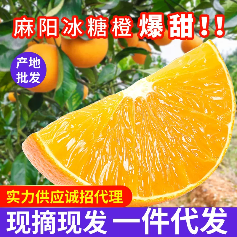 湖南麻阳冰糖橙（现货一件代发）新鲜橙子手剥橙当季水果应季整箱