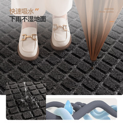 Entry mat, doormat, welcome mat, indoor door mat, water-absorbent anti-slip rug, home entrance mat, dust-free mat for front door