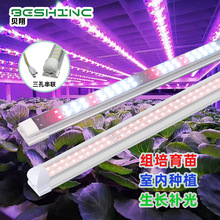 ֲ�����L��ȫ���V�r�I�҃ȷNֲ�����߲˽M������T8LEDֲ���a���