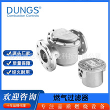 ��˹DUNGS�^�V��GF ��˹�^�V�� ���Iȼ���^�V�� ���m�B���^�V��