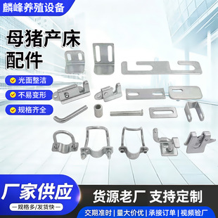 10���b  ĸ�i�a������Bֳ�O��a�������ȫ�󻢿��T�ȵ��ۺ��T��
