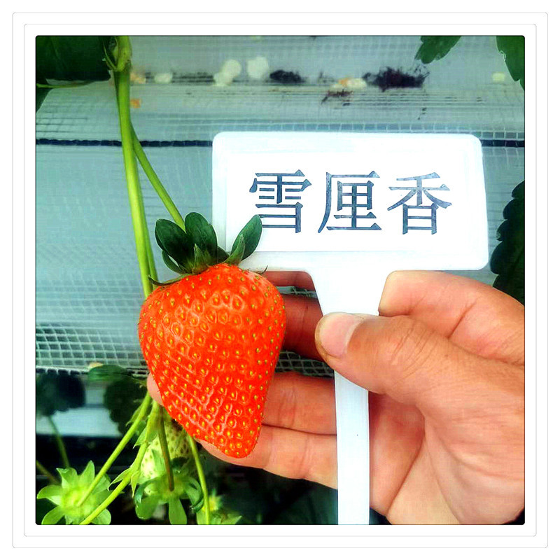 9d56340d5480f2f314299a83401b64