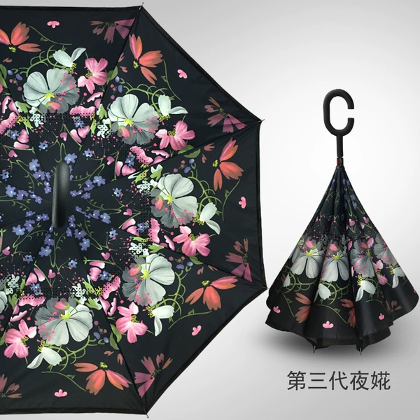 ㊢夜婲