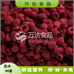 ���Sֱ�N���l�����ك�����t��ݮ�������¼���ݮ