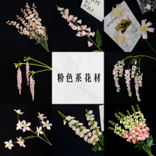 �¿��ɫϵ��Y�ٻ��������ŷ��滨��c���ĶY����͏d�����[����