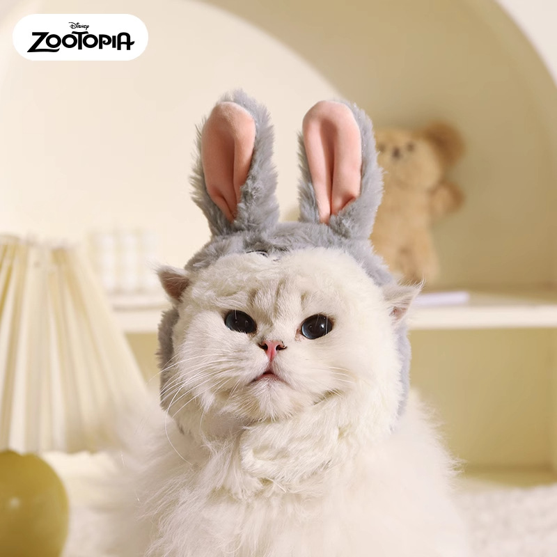 Sombrero peludo de Judy