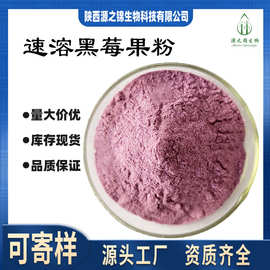 黑莓果粉 可寄样 源之锦 黑莓冻干粉 量大价优 品质保证 现货供应