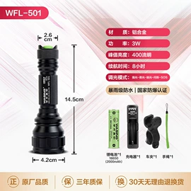 手电筒;LED防爆手电;电熨斗