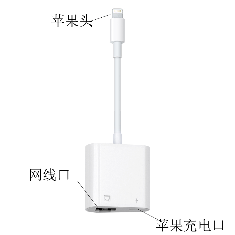 手机插网线转换器百兆网络可供电手机直播玩游戏连以太网多功能线|ms