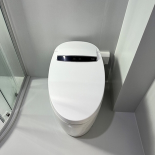 Genuine Smart Toilet Fully Automatic Induction Flip-Top Integrated Siphon Drying Female Flushing Toilet Package Installation