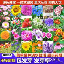 ԭSʰļNal̫ꖻ˹՝MǳxҰM