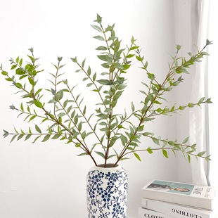 ����Gֲ���~�ȼ������X�~���W�Ҿ��b�c�廨���~�Ƶ�ܛ�b�쾰