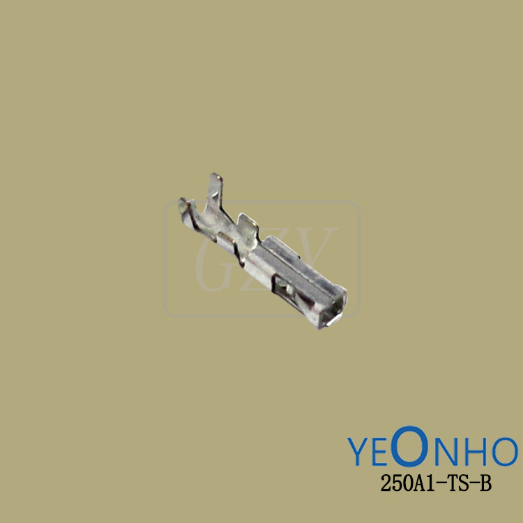 Ӧ250A1-TS-B ѹŶ YEONHO/Ȼ ɶ