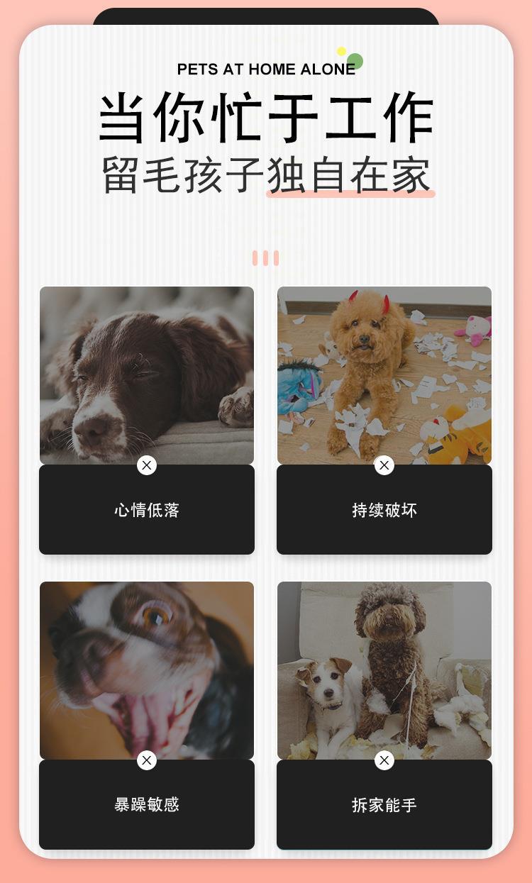 猫玩具2详情__03.jpg