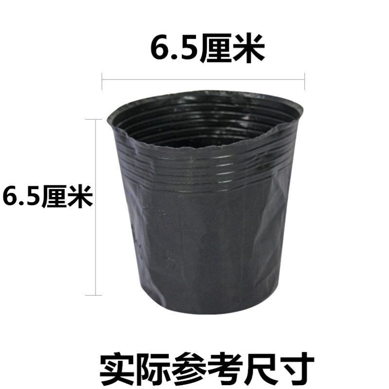 8*8 (diameter 6.5 height 6.5) 50 pieces