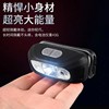 Induction super bright small LED street lantern