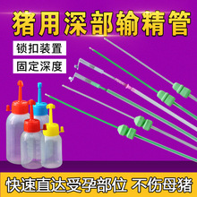 һiݔƿiһݔƿbBֳBiO