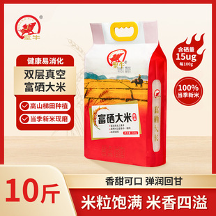 �}ţ���׸�������10�������L���������һ����������5g�i�׃��|