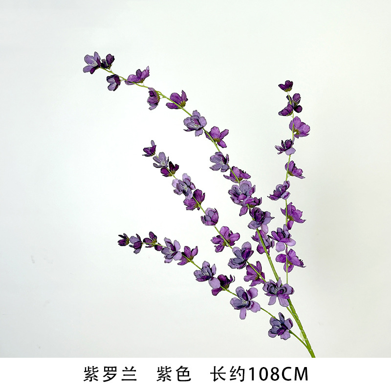 바이올렛(새로운 스타일)