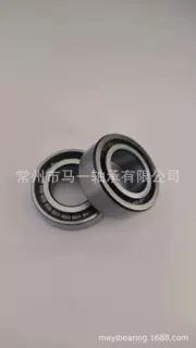 生产满装圆柱滚子轴承SL045024PP-2NR 带卡簧NNF5024ADB.2LS.V