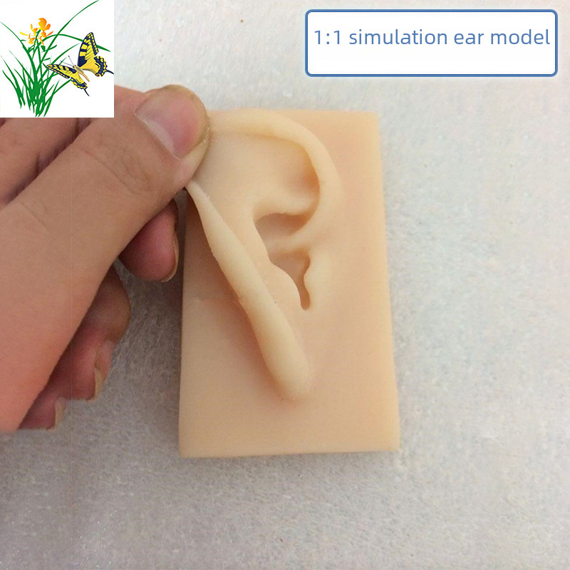 1: to 1 ratio Simulation Ear Human Ear Modeling Silicone Acupuncture…
