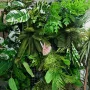 仿真墙面客厅植物花藤