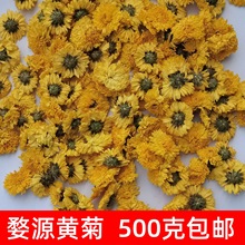 婺源黄菊500克包邮 散装批发黄山黄皇菊花茶  一朵一杯  量大从优