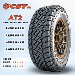 CST Zhengxin Off-Road AT2 All-Terrain LT245/265/305/60/70R17R18300bj40 Tire