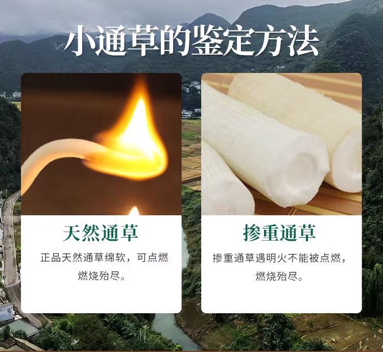 Tong Cao Slices (Tetrapanax papyrifer) — Dried Food Herb for Soup & Tea specifications