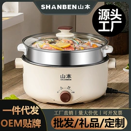 电火锅;电煮锅;养生壶