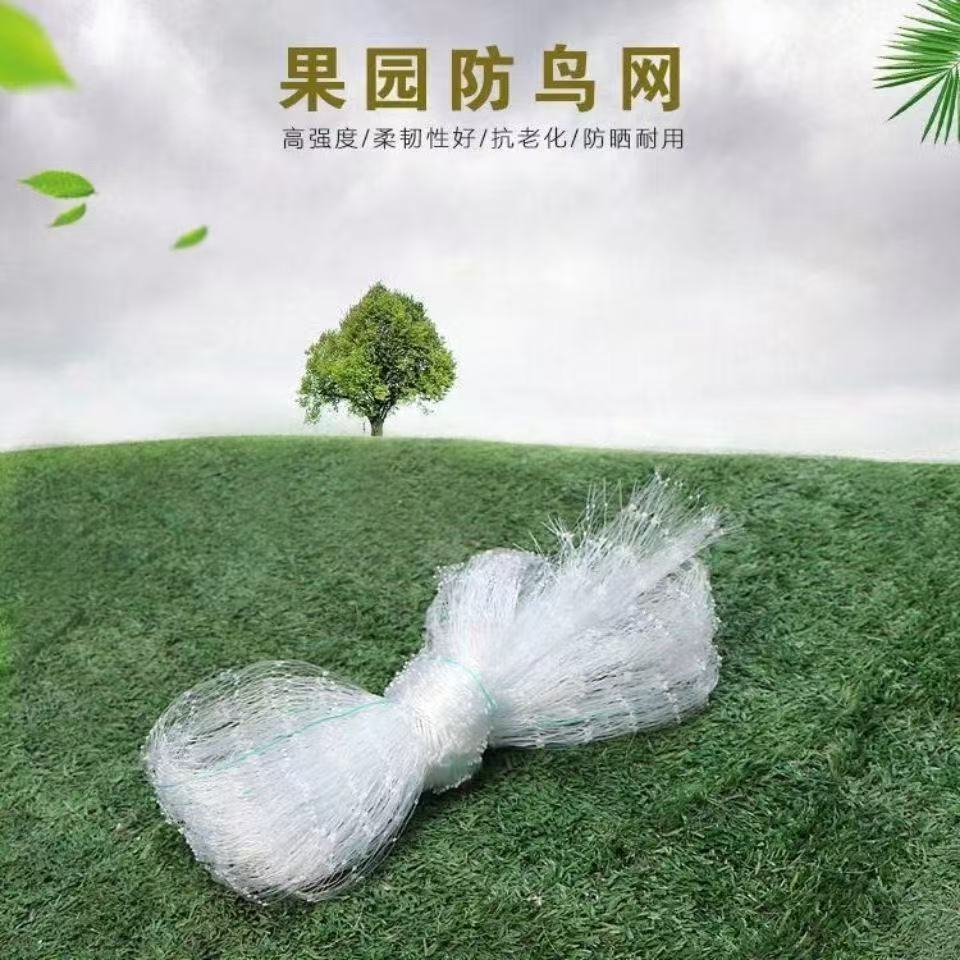 微信图片_20241113151441