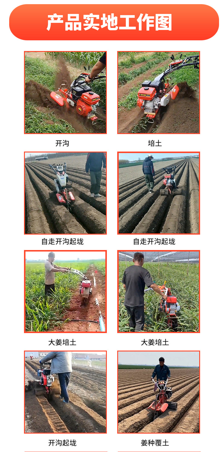 O1CN01pJx2M722N3S9BReHZ_!!1684