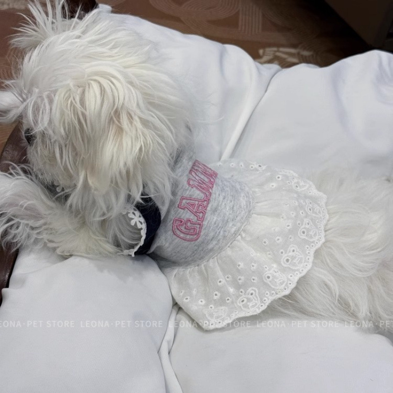 Mascotas primavera y verano encaje princesa estilo tirantes vestido delgado peluche bichón perro pequeño perro gato ropa