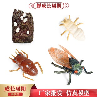 ����������x΁ţ֩��������ѽ��s̈́�i�o�B����ģ�����z��ߔ[��