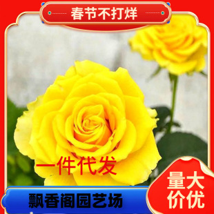 һ�����l���Sؐ�����¼������҃���ͥԺ�̨���Ի����^��ֲ���ļ�