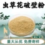 破壁水溶性植物定制虫草花