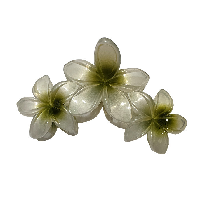 国境を越えたアマゾンの卵の花がグラデーションの花のキャンディー色の紫荊花の後頭部をつかんでサメの花を挟んで髪を伸ばします。|undefined