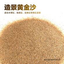 沙南美三湖鼠鱼底沙天然细河沙水砂化妆沙鱼缸缸水陆造景