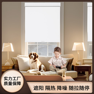 Roller Blinds Can Be Customized Without Drilling and Installed in the Office. Double-Layer Sun Protection and Waterproof Bathroom Roller Blinds Are Exclusively Available for Cross-Border Use