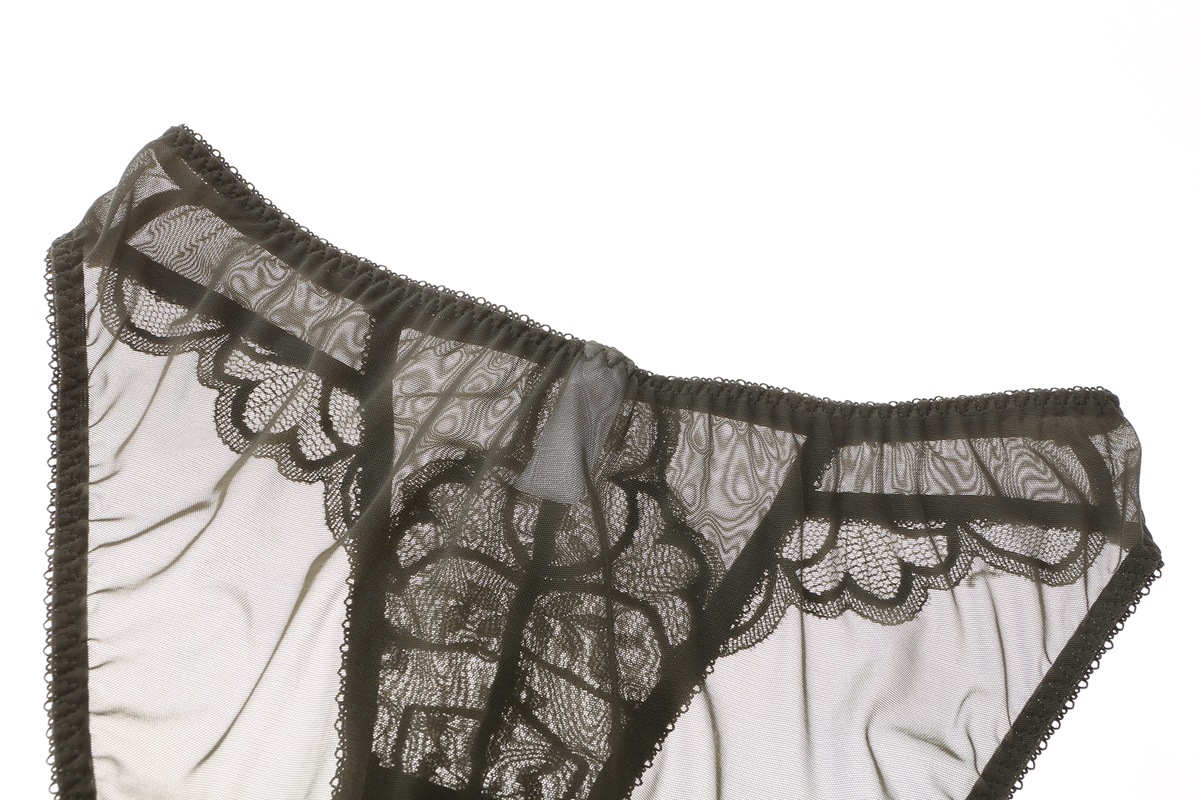 Women's Bra And Briefs Set Lace Perspective Thin Bra For Ladies_voghion.com