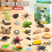 �羳���挍�Ą���Λρ���Ӟ��������uư�x�۷������~���L���ں��b