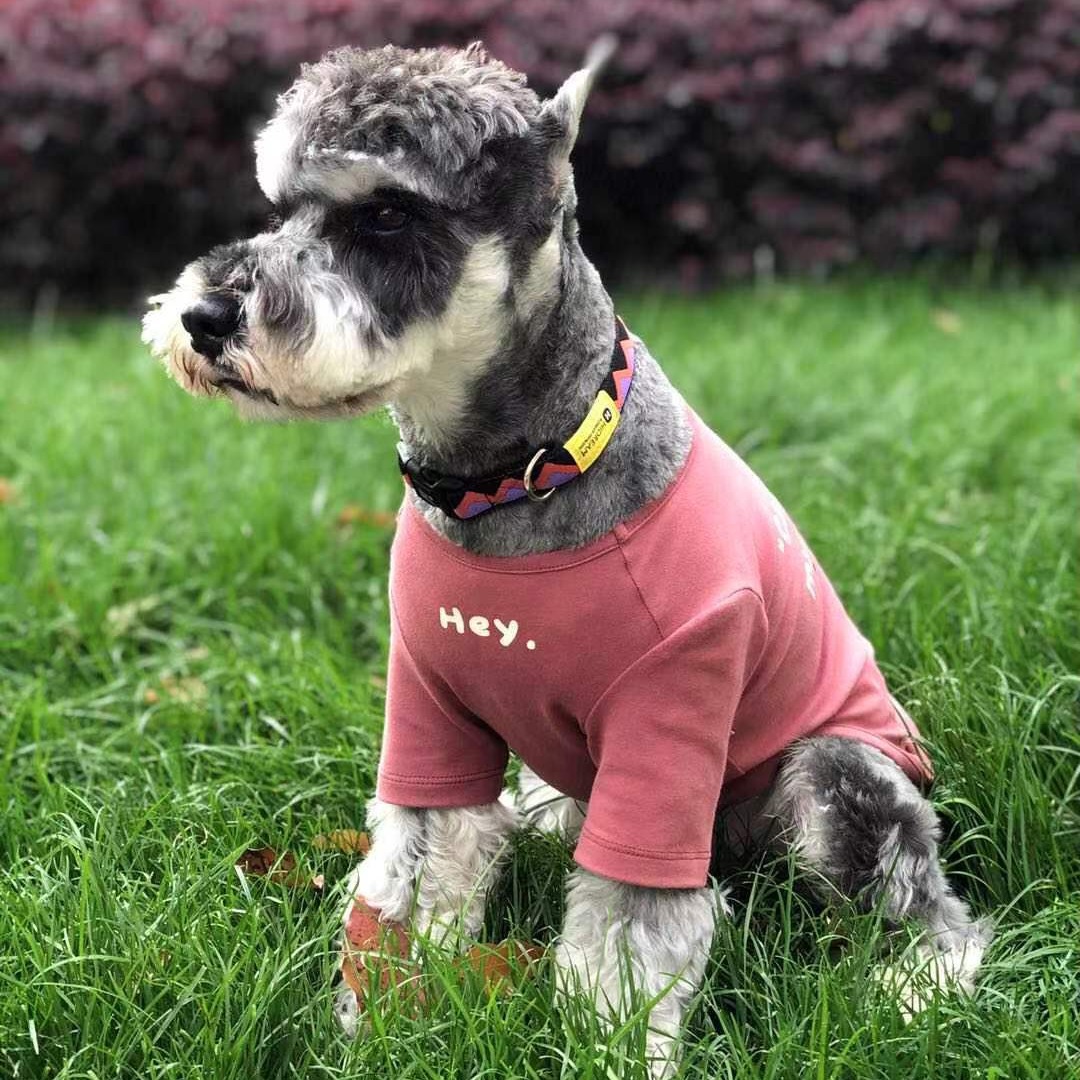 En stock nuevo ins Corea del Sur estilo coreano simple impreso T ropa para mascotas gato y perro tocando fondo ropa para mascotas
