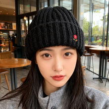 帽子花朵刺绣针织帽韩版冬季防寒保暖毛线帽女加厚护耳冷帽显脸小