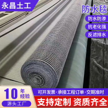人工膨润土防水毯垃圾填埋场底下车库防渗用源头工厂定制防水毯