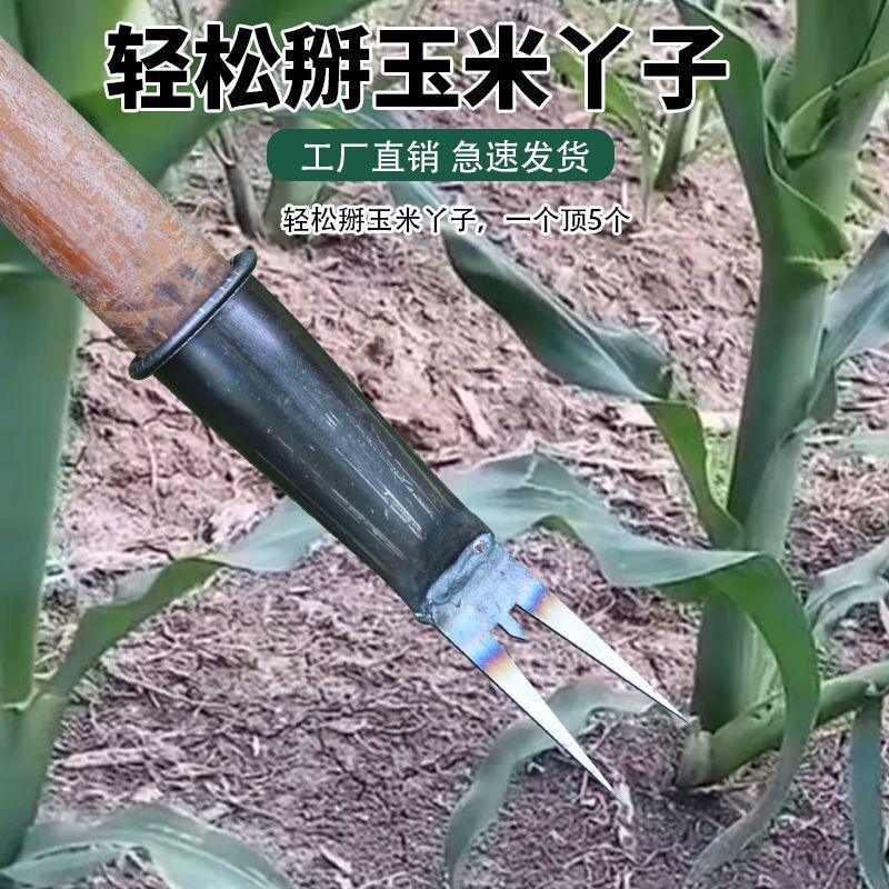 新しいトウモロコシの穂摘みツール、農業用トウモロコシの穂摘みツール、苗除去ツール、サツマイモの手首摘みツール、腰をかがめないでください。|undefined