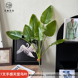 ����7�^�ָ������B�ָа����Gֲ�廨�~��ֲ�Ǚ�����쾰�b���