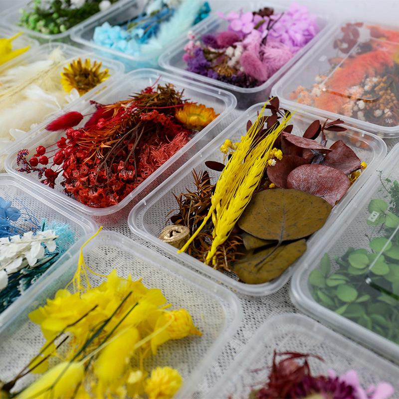 Eternal flower dried flower full star DIY material box fragrance drop glue rose dried flower forget-me-not photo frame fan decoration 