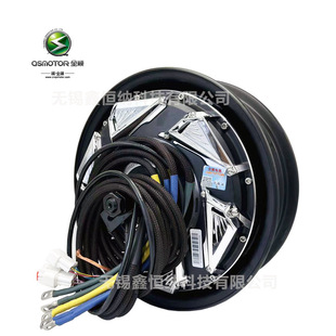 12��3000WP40H�o���QSMOTORȫ�늙C��Ƭ��48-96V늄�܇�Ħ늙C